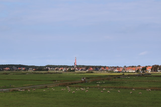 Vuurtoren achter de schapen in Hollum