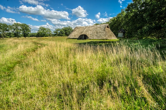 huisje in Drenthe midden in de natuur